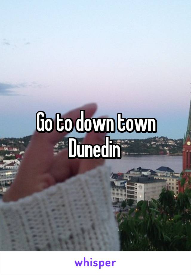 Go to down town Dunedin 