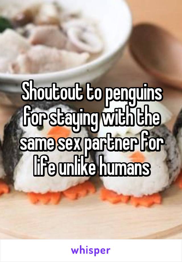 Shoutout to penguins for staying with the same sex partner for life unlike humans
