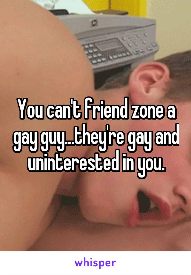 You can't friend zone a gay guy...they're gay and uninterested in you.