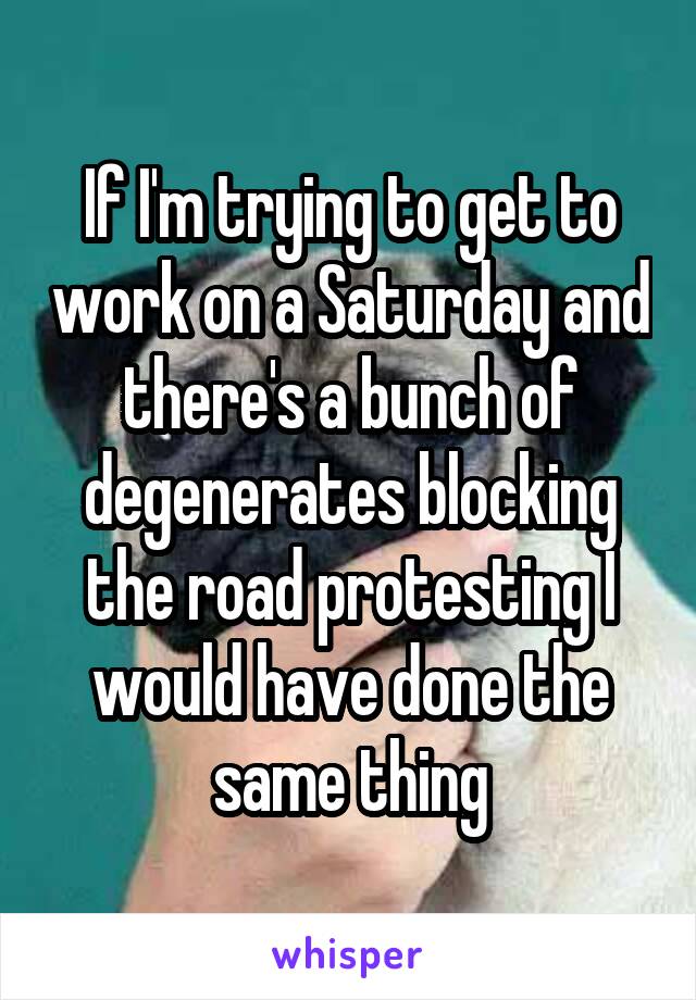 If I'm trying to get to work on a Saturday and there's a bunch of degenerates blocking the road protesting I would have done the same thing