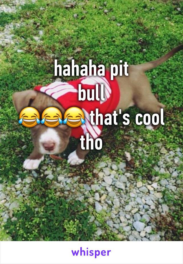 hahaha pit
bull 
😂😂😂 that's cool tho 