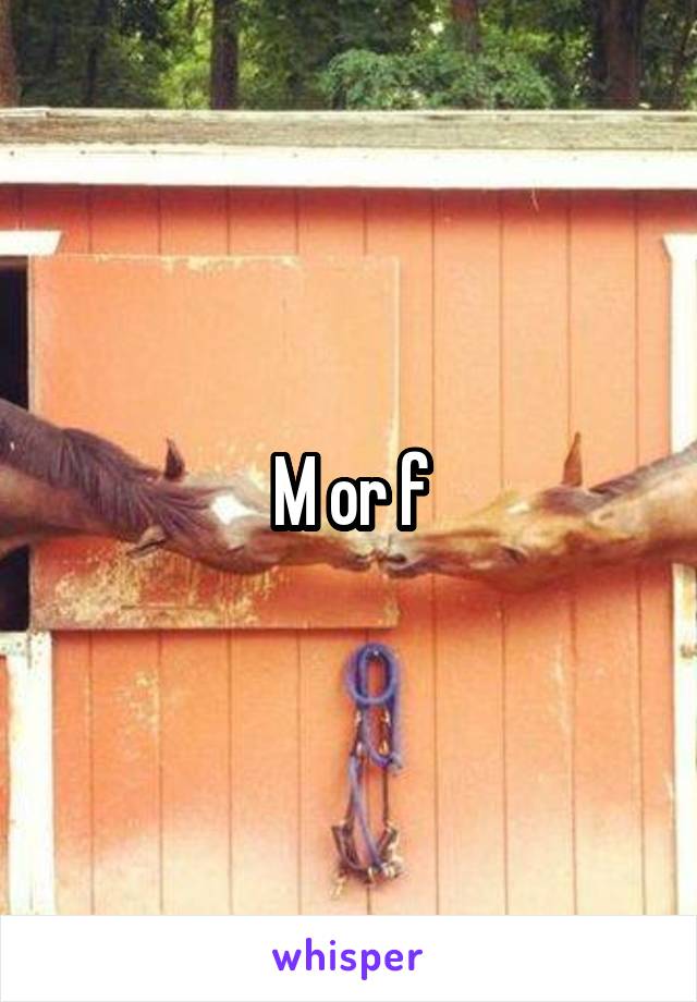 M or f