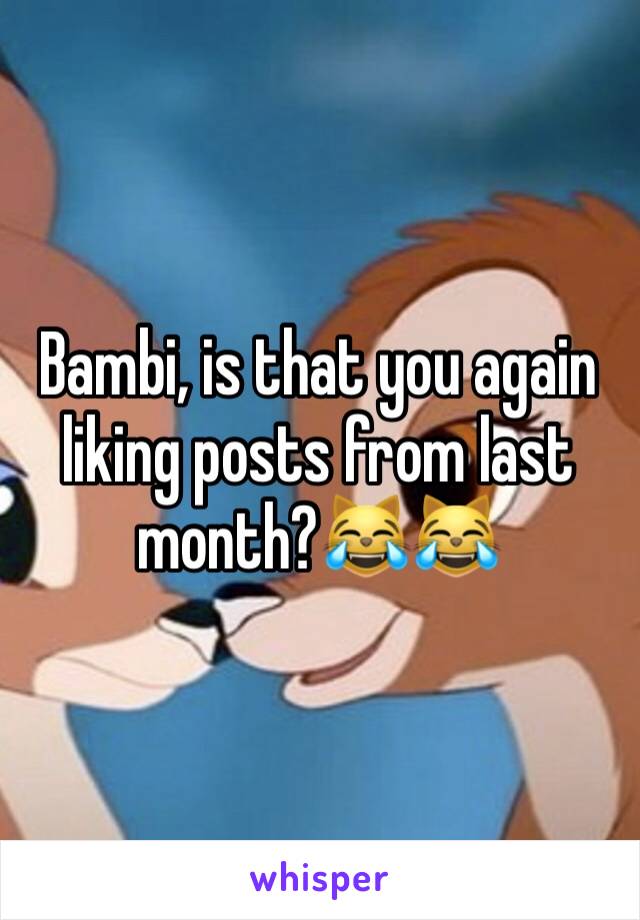 Bambi, is that you again liking posts from last month?😹😹