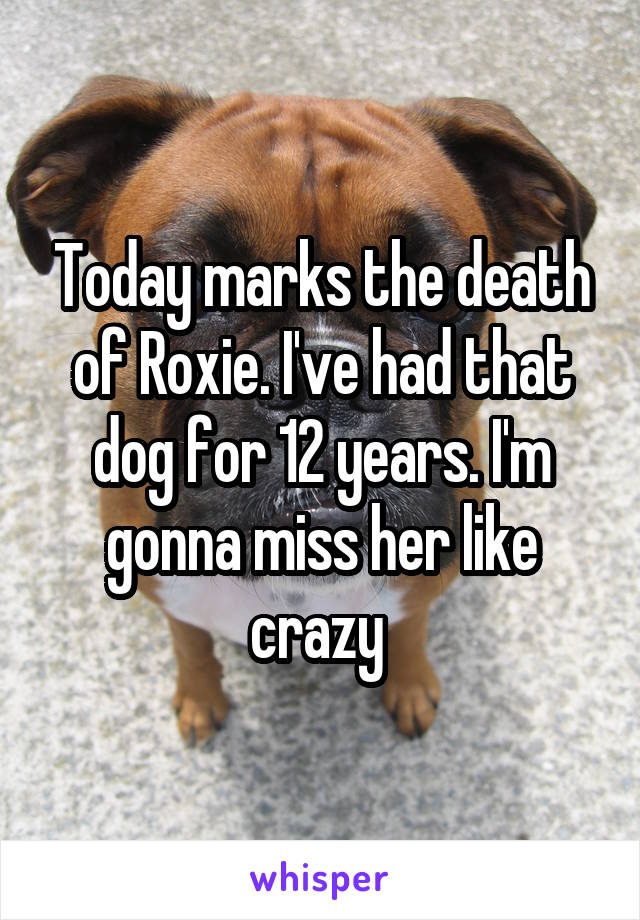 Today marks the death of Roxie. I've had that dog for 12 years. I'm gonna miss her like crazy 