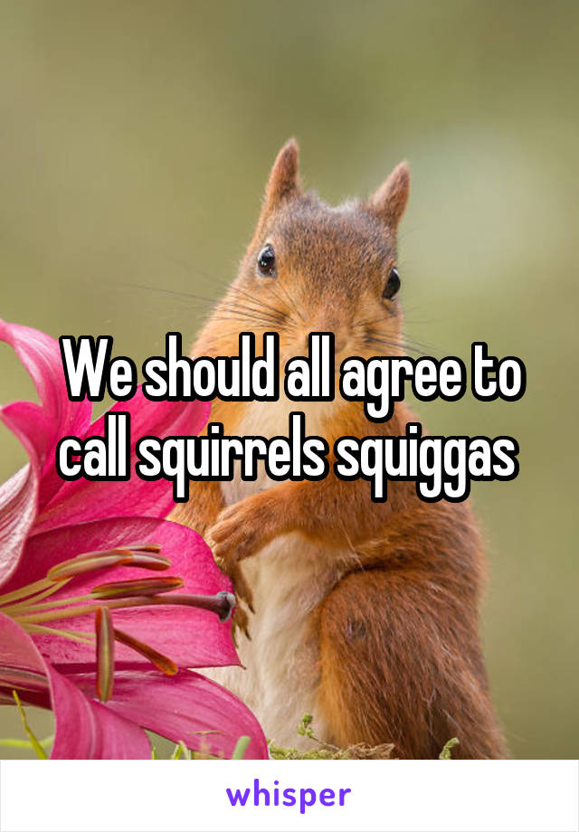 We should all agree to call squirrels squiggas 