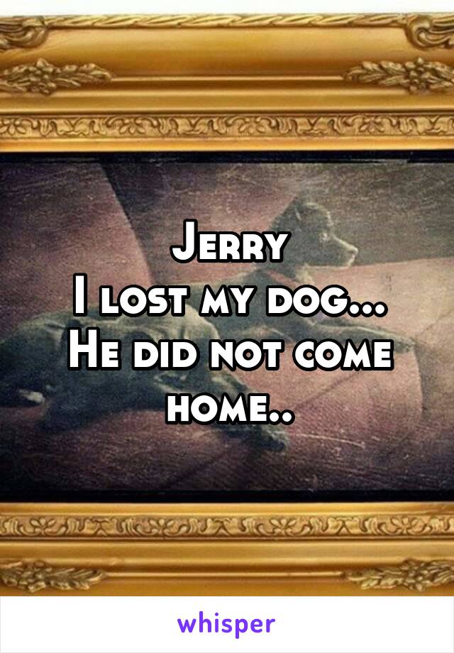 Jerry
I lost my dog...
He did not come home..
