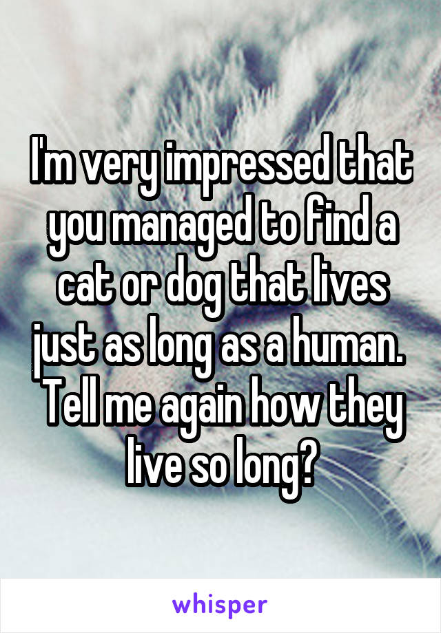 I'm very impressed that you managed to find a cat or dog that lives just as long as a human. 
Tell me again how they live so long?