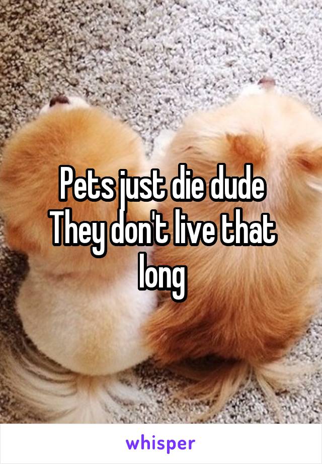 Pets just die dude
They don't live that long