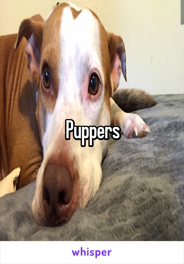 Puppers