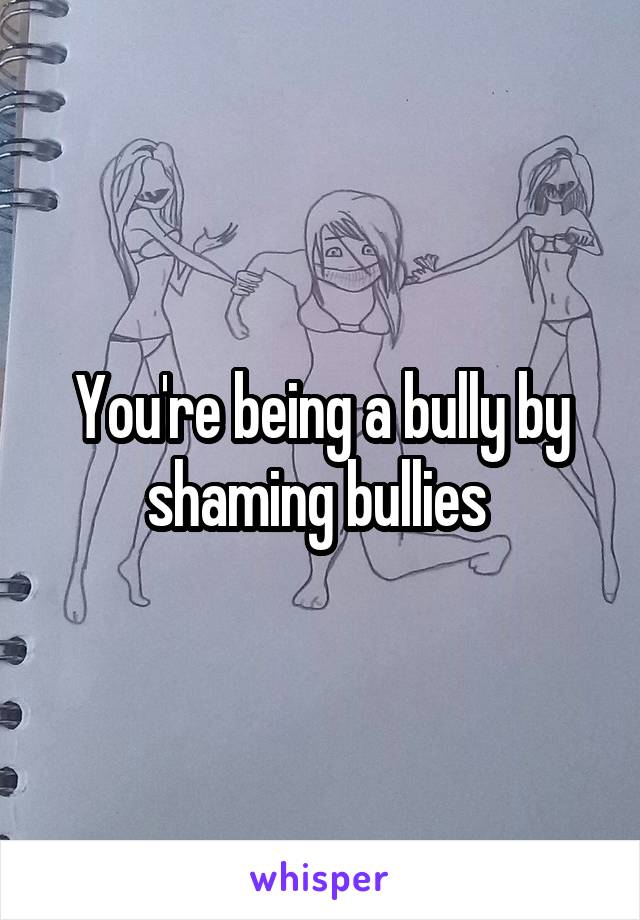 You're being a bully by shaming bullies 