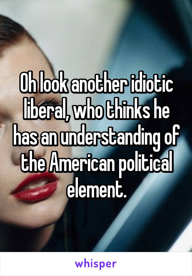 Oh look another idiotic liberal, who thinks he has an understanding of the American political element.
