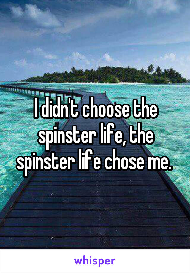 I didn't choose the spinster life, the spinster life chose me. 