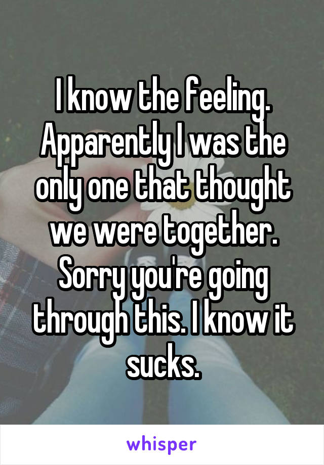 I know the feeling. Apparently I was the only one that thought we were together. Sorry you're going through this. I know it sucks.