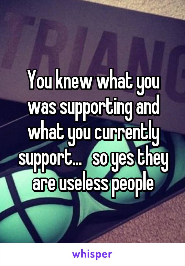 You knew what you was supporting and what you currently support...   so yes they are useless people