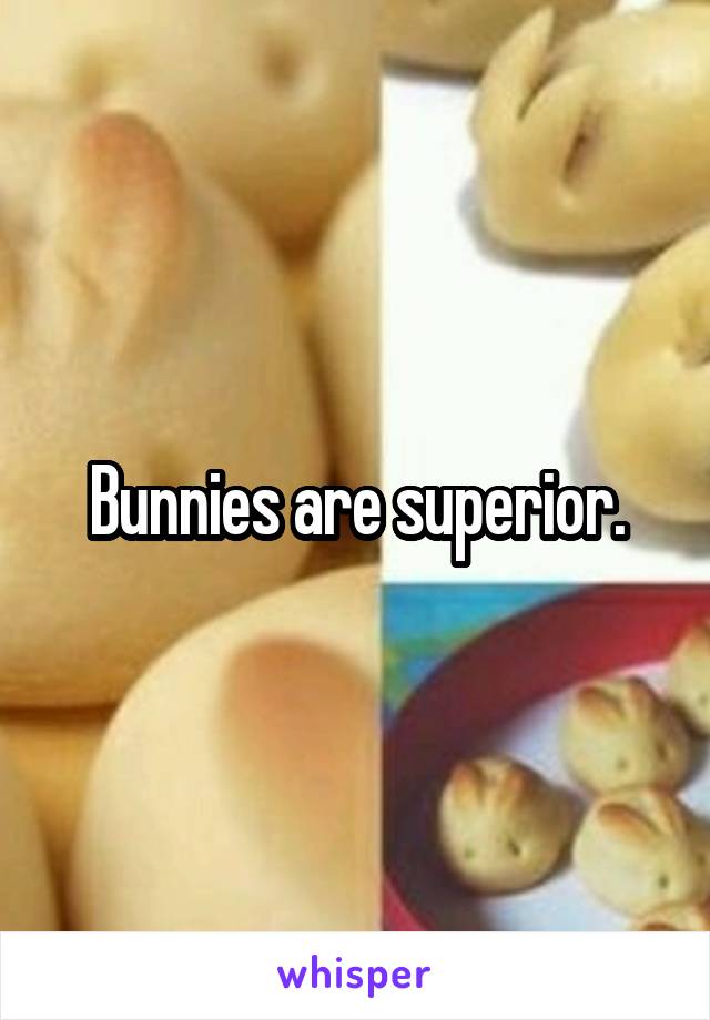 Bunnies are superior.
