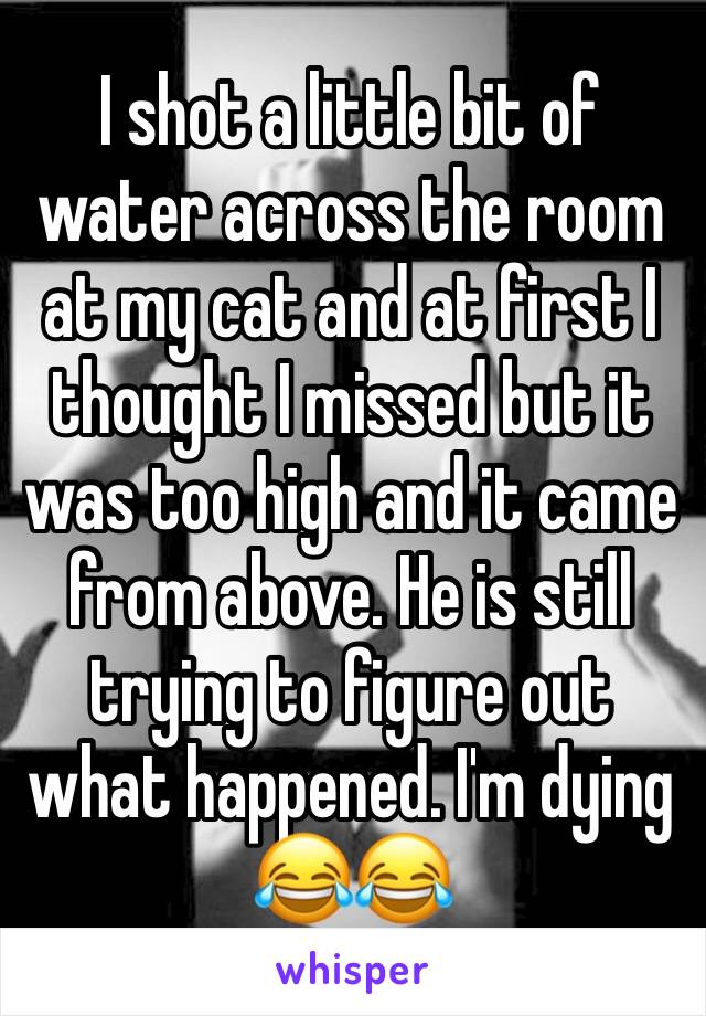 I shot a little bit of water across the room at my cat and at first I thought I missed but it was too high and it came from above. He is still trying to figure out what happened. I'm dying 😂😂