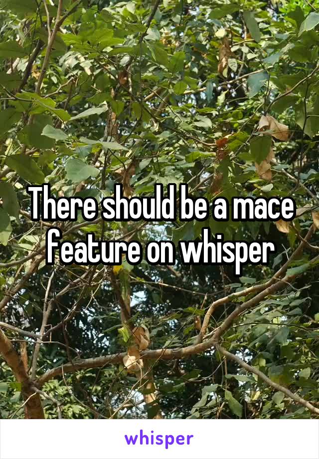 There should be a mace feature on whisper