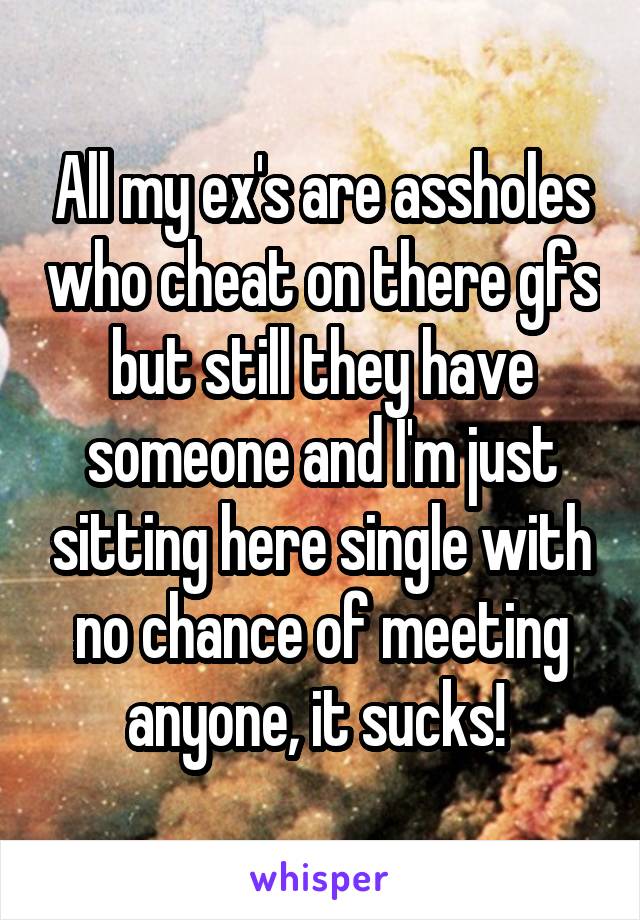 All my ex's are assholes who cheat on there gfs but still they have someone and I'm just sitting here single with no chance of meeting anyone, it sucks! 