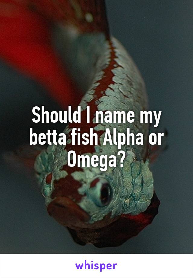 Should I name my betta fish Alpha or Omega?