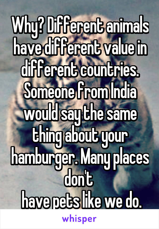 Why? Different animals have different value in different countries. Someone from India would say the same thing about your hamburger. Many places don't 
 have pets like we do.