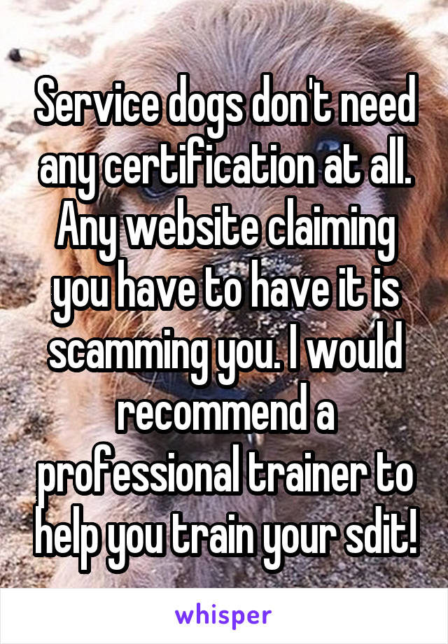 Service dogs don't need any certification at all. Any website claiming you have to have it is scamming you. I would recommend a professional trainer to help you train your sdit!