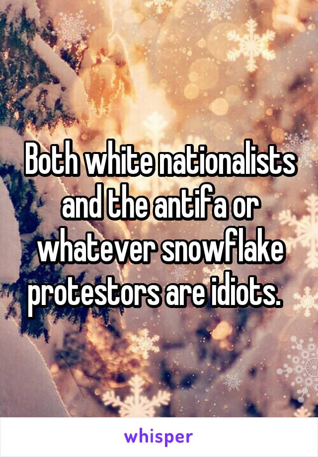 Both white nationalists and the antifa or whatever snowflake protestors are idiots.  