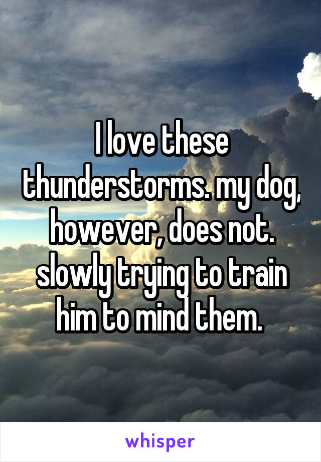 I love these thunderstorms. my dog, however, does not. slowly trying to train him to mind them. 