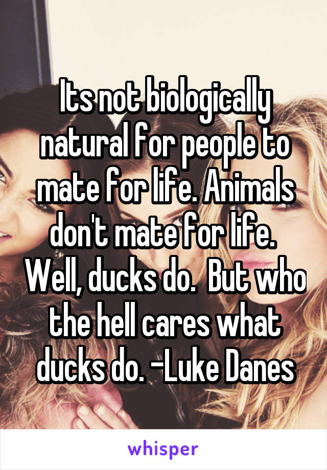 Its not biologically natural for people to mate for life. Animals don't mate for life.  Well, ducks do.  But who the hell cares what ducks do. -Luke Danes
