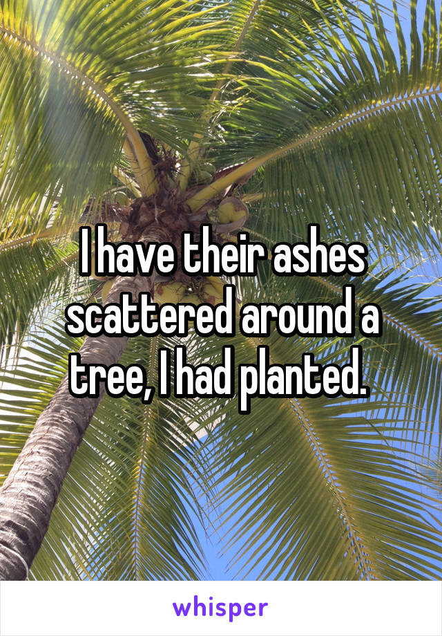 I have their ashes scattered around a tree, I had planted. 