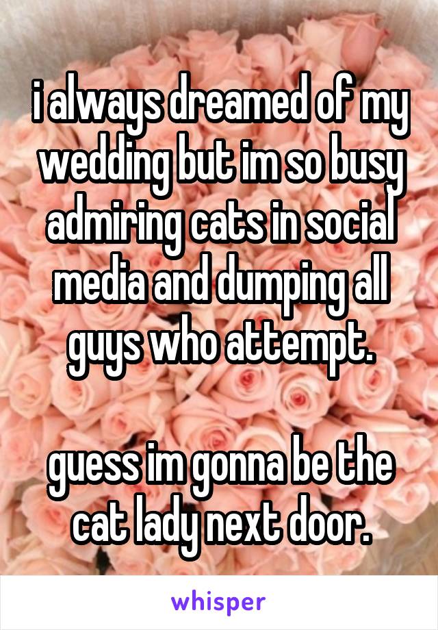 i always dreamed of my wedding but im so busy admiring cats in social media and dumping all guys who attempt.

guess im gonna be the cat lady next door.