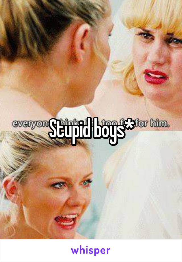 Stupid boys*