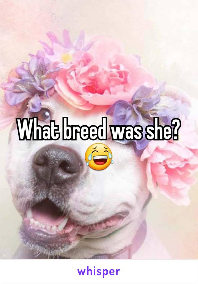 What breed was she?
😂