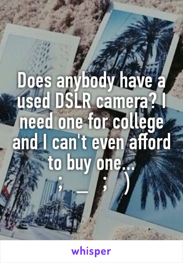Does anybody have a used DSLR camera? I need one for college and I can't even afford to buy one...
 ；＿；）