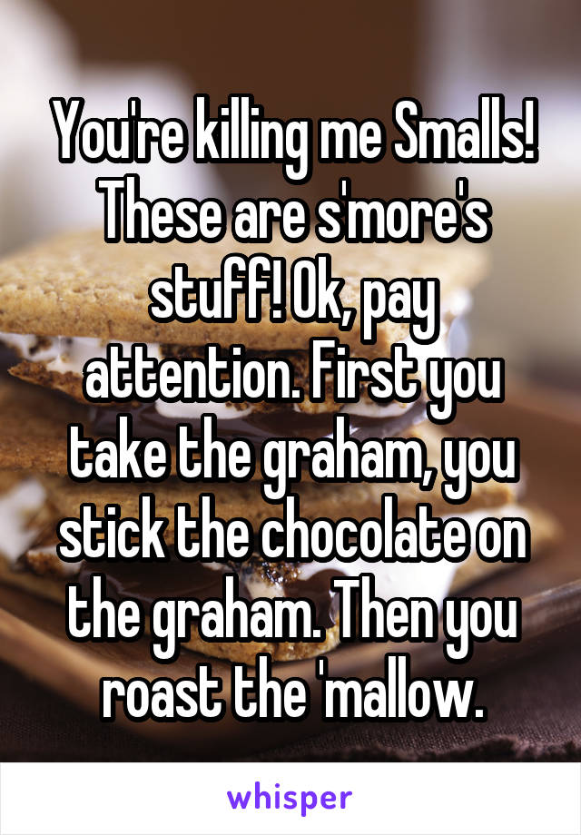 You're killing me Smalls! These are s'more's stuff! Ok, pay attention. First you take the graham, you stick the chocolate on the graham. Then you roast the 'mallow.