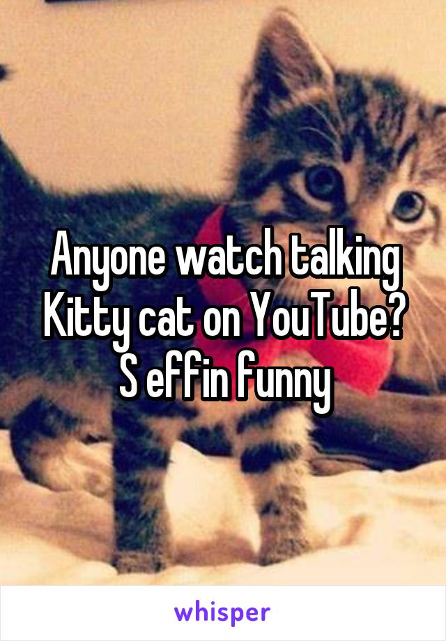 Anyone watch talking Kitty cat on YouTube? S effin funny
