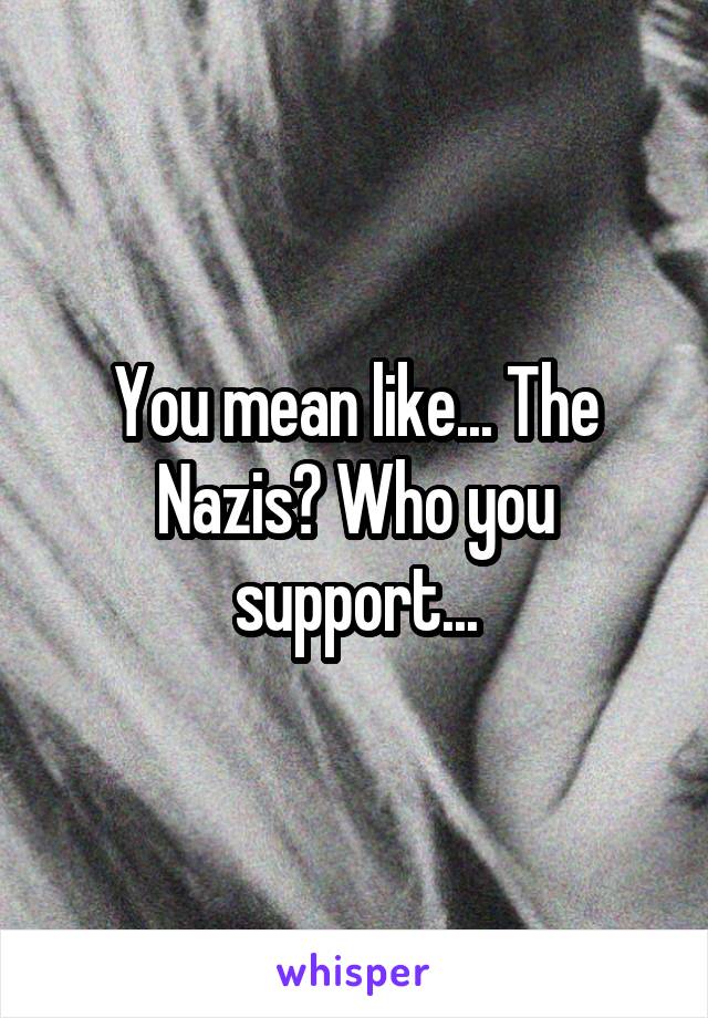 You mean like... The Nazis? Who you support...