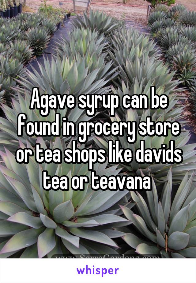 Agave syrup can be found in grocery store or tea shops like davids tea or teavana 
