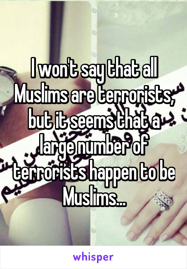 I won't say that all Muslims are terrorists, but it seems that a large number of terrorists happen to be Muslims...