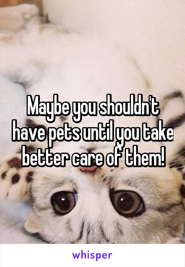 Maybe you shouldn't have pets until you take better care of them!