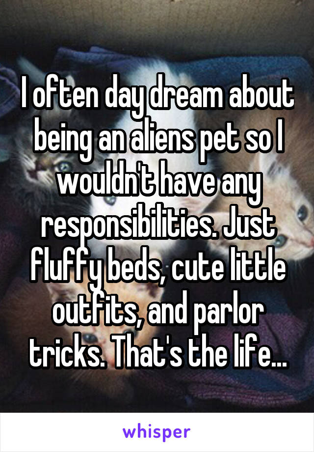 I often day dream about being an aliens pet so I wouldn't have any responsibilities. Just fluffy beds, cute little outfits, and parlor tricks. That's the life...