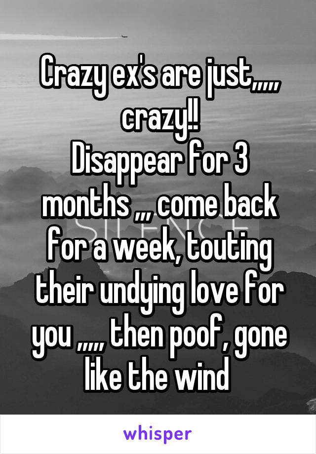 Crazy ex's are just,,,,, crazy!!
Disappear for 3 months ,,, come back for a week, touting their undying love for you ,,,,, then poof, gone like the wind 