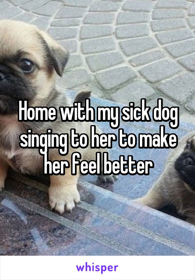 Home with my sick dog singing to her to make her feel better