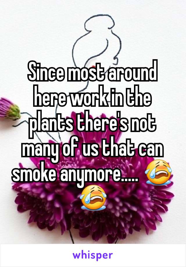 Since most around here work in the plants there's not many of us that can smoke anymore..... 😭😭