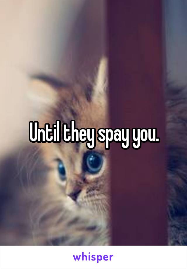 Until they spay you.