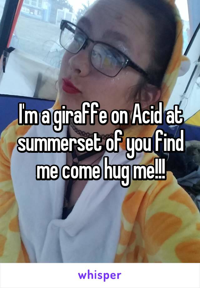 I'm a giraffe on Acid at summerset of you find me come hug me!!!