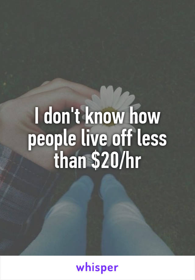 I don't know how people live off less than $20/hr