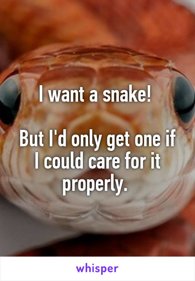 I want a snake! 

But I'd only get one if I could care for it properly. 