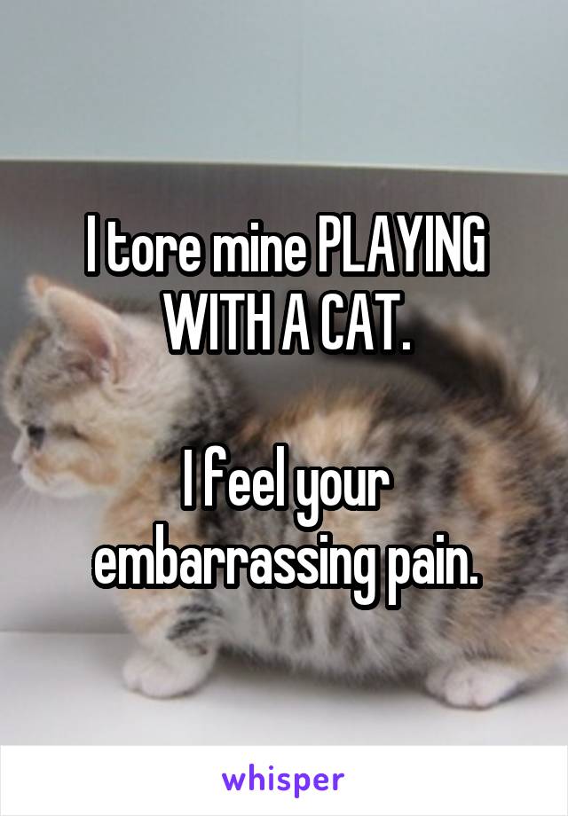 I tore mine PLAYING WITH A CAT.

I feel your embarrassing pain.