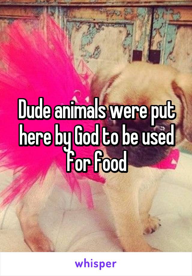 Dude animals were put here by God to be used for food