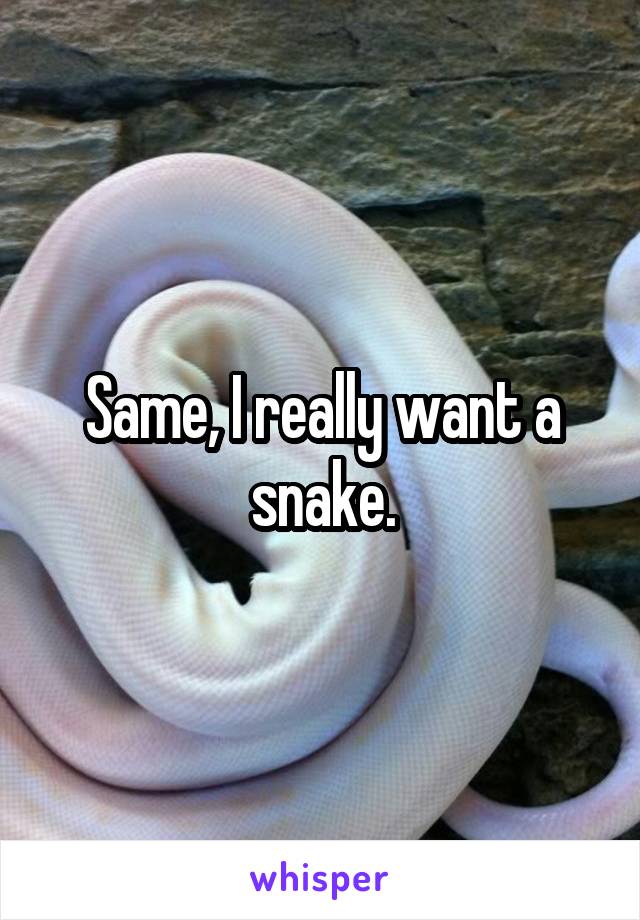 Same, I really want a snake.
